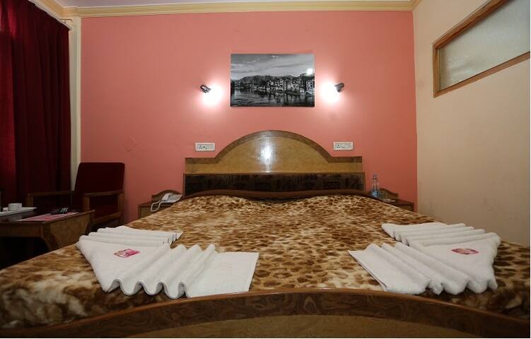 Hotel Snow Palace, Srinagar 3